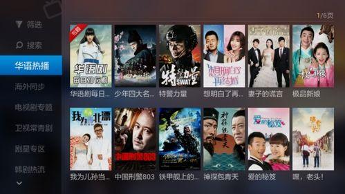 大片视频在线播放,大片视频在线播放全解析