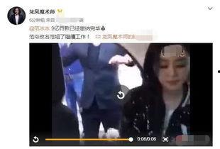 洪金宝范冰冰视频,精彩瞬间回顾