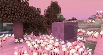 我的世界糖果世界视频,跟随Minecraft视频领略奇幻之旅