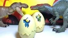 恐龙鸡蛋视频