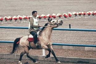 怒火攻心2赛马场视频,速度与激情的极限挑战